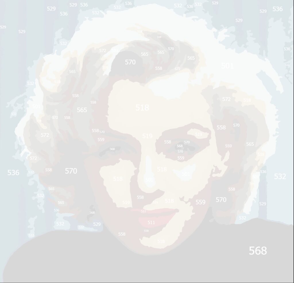 Paint By Number Marilyn Color Pen